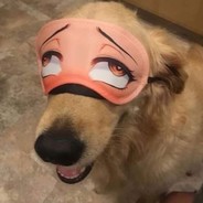 Ямакаси avatar