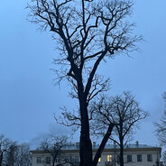 Хочу бегать