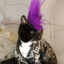 Emo Cat