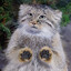 seller
