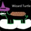 Wizard Turtle