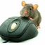 Avatar of player MR. LITTLE