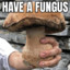 Fungus