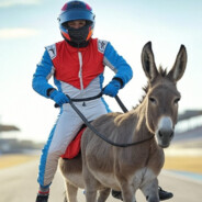 Piloto de Burros