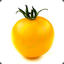 Żółty Pomidor