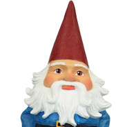 The Gnomester