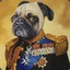 Commander Doofus