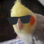 Prikito