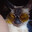 Chony