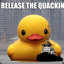 Release the Quackin