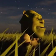 Avatar snapshot