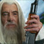 Gandalf the savage