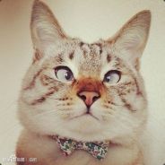 摩尔安德森@5214