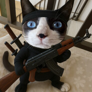 ⚡🐾Bordel de miau🐾⚡ avatar