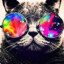 DJ Meowmix