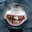 #eloweitwurf | jaws ツ
