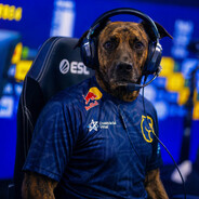 Player avatar