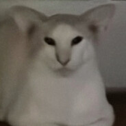 Oblech