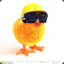 CHICKNNN