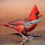 red cardinal with a gun