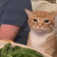 肥嘟嘟小狗大侠