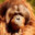 kakaowy_orangutan-_- 