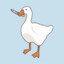 Goose