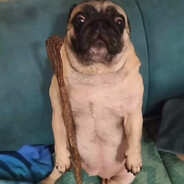 Как вкусно пахнет моя травка