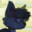 Kip's Avatar