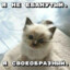 Кмс по фиду