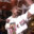 NoVa_BK avatar