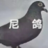 阳光彩虹小白马