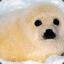 Kysiol2000(づ◉ᴥ◉)づ