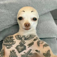 стaвлю в пoдoбaйку