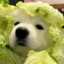 漩汲