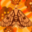 GoldenLunarMoth