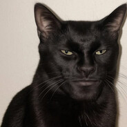 CATMAN avatar