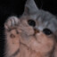 Striv