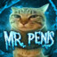 MR PENIS