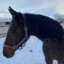 BEKA_777