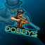 dobbyS