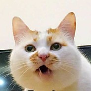 我的队友是人参果