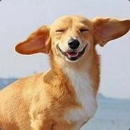 哥的微笑，谷歌不到