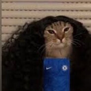 GATO FELIX