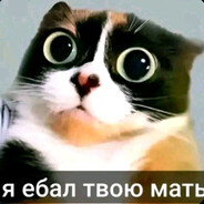 бля буду донком