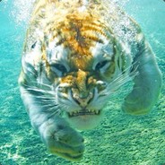 Loose - steam id 76561198052389158