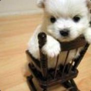 -_o - steam id 76561197961786896