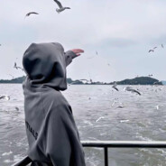 默默期待的吸血鬼