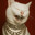 Don/Gato