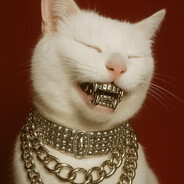 Don/Gato